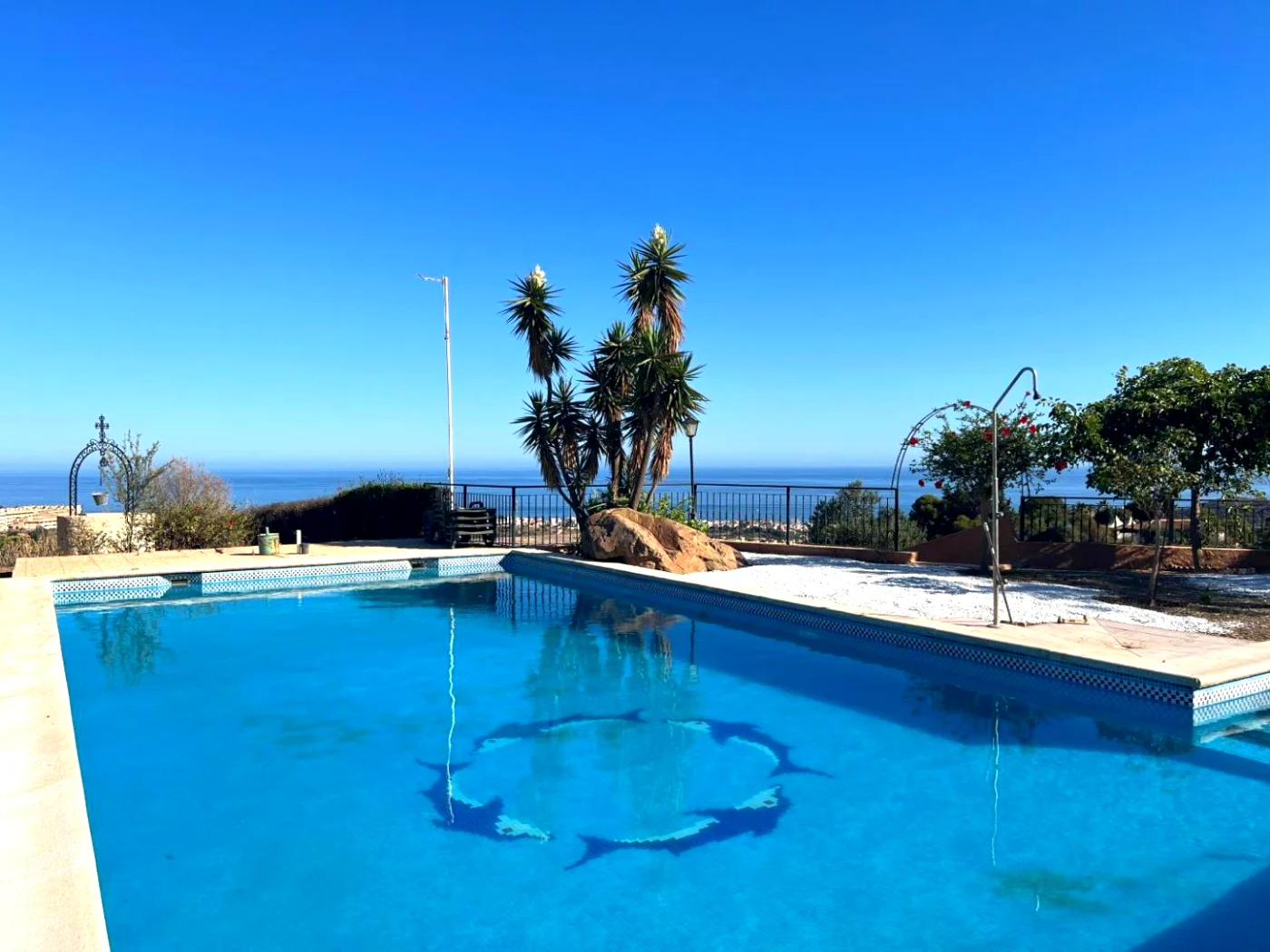 Piscina con tumbonas y palmeras
